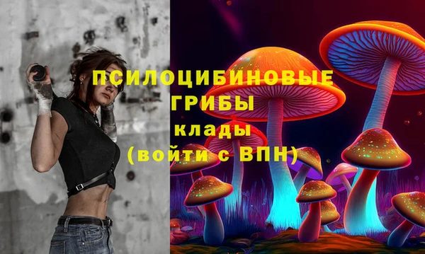 mdpv Киреевск