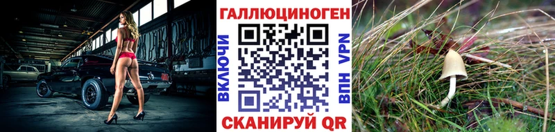 Купить закладки  Глазов  Псилоцибиновые грибы ЛСД 